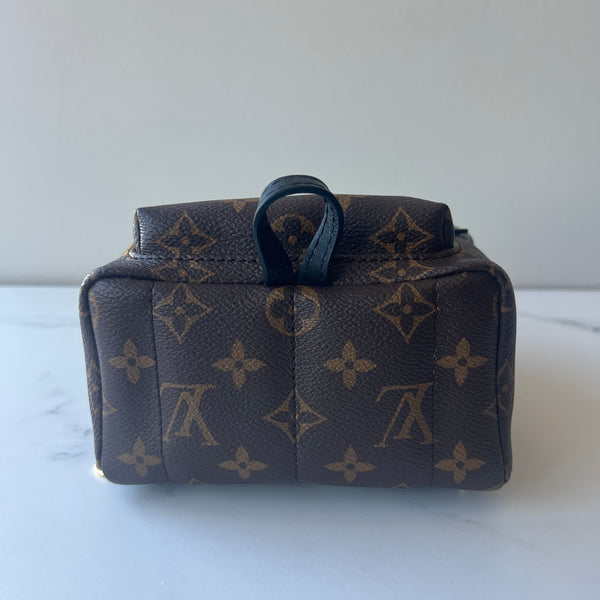 Louis Vuitton Palm Springs Mini
