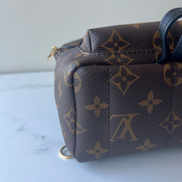 Louis Vuitton Palm Springs Mini