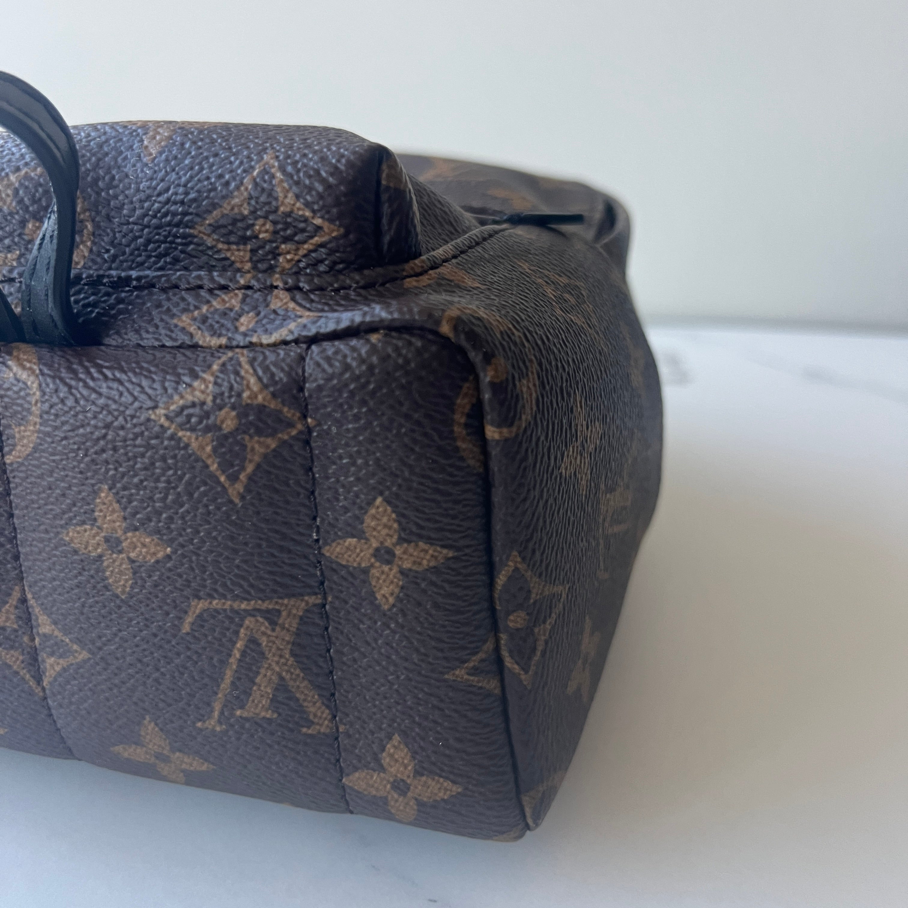 Louis Vuitton Palm Springs Mini