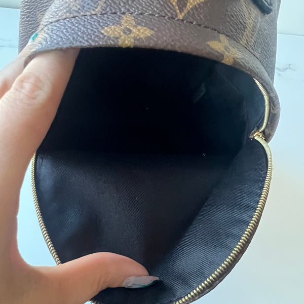 Louis Vuitton Palm Springs Mini