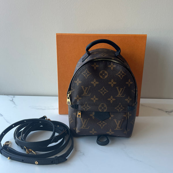 Louis Vuitton Palm Springs Mini