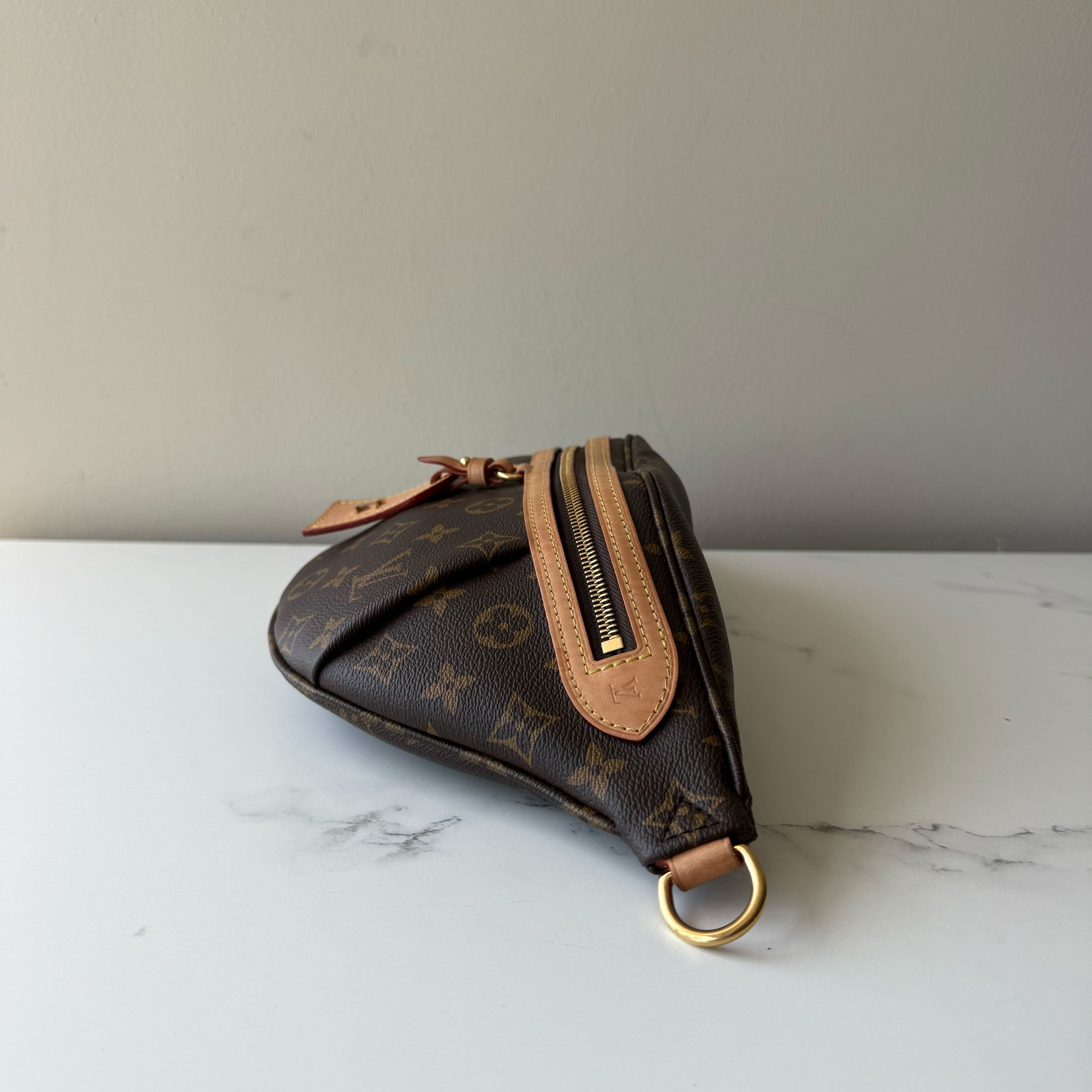Louis Vuitton Highrise Bumbag