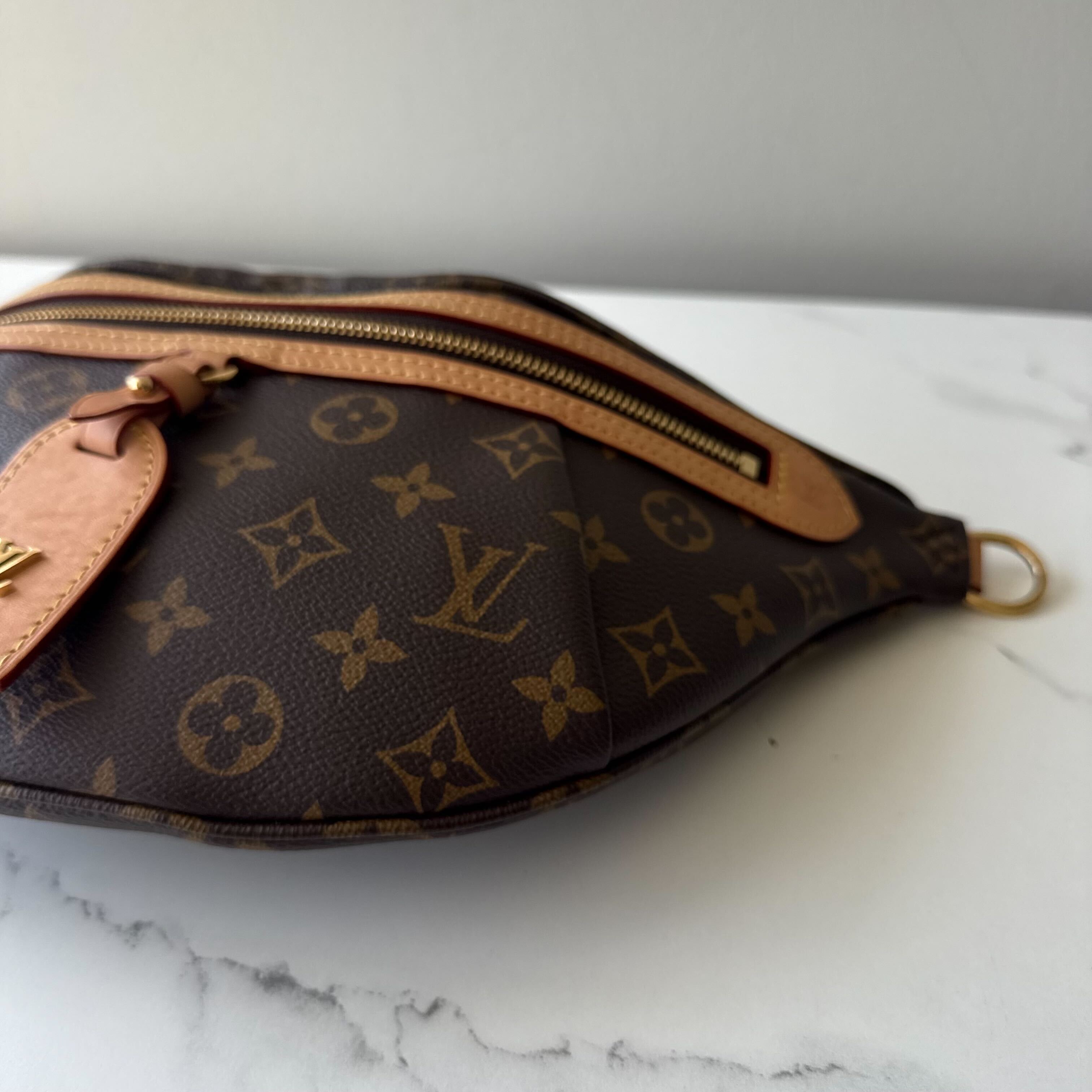 Louis Vuitton Highrise Bumbag