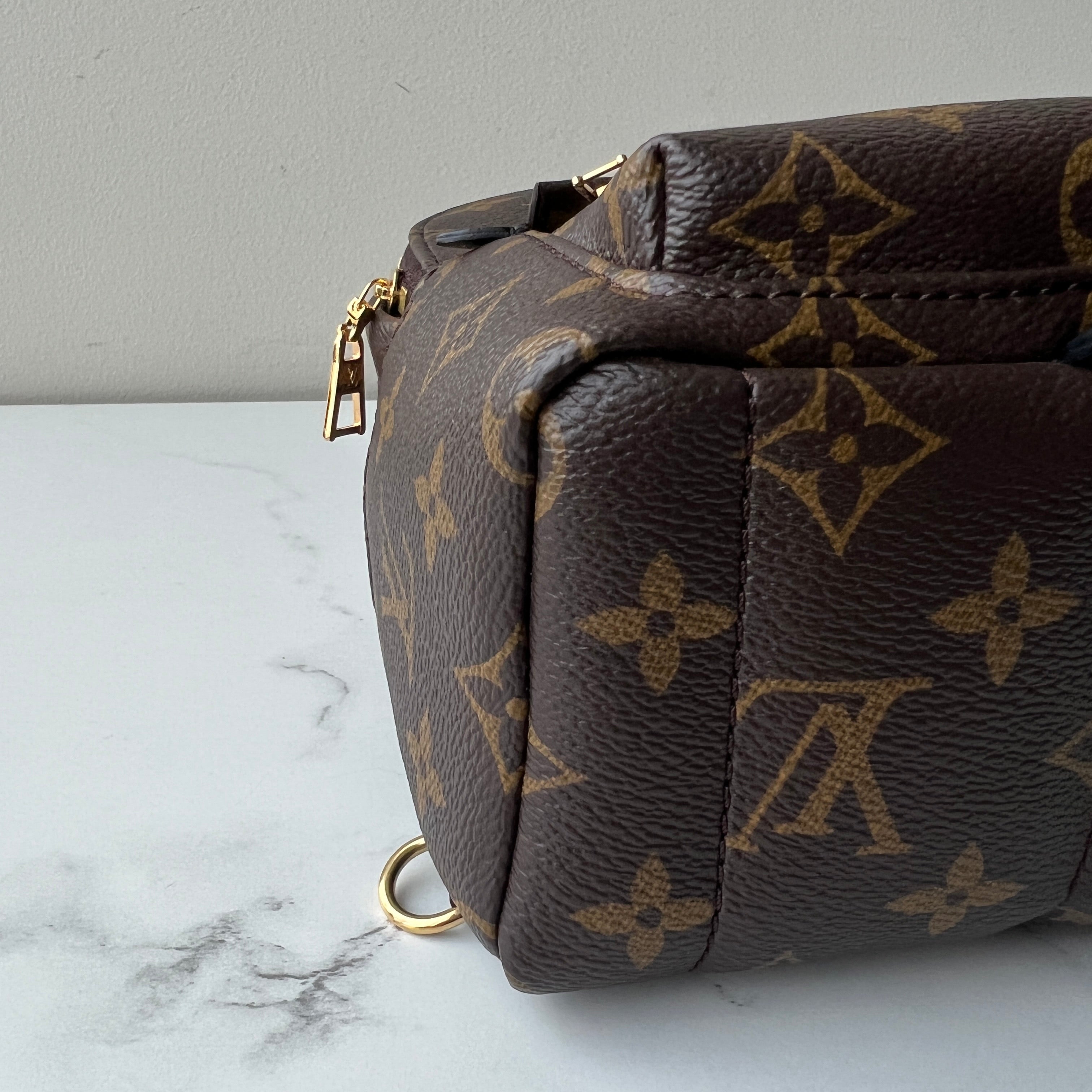 Louis Vuitton Palm Springs Mini