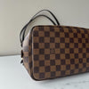 Louis Vuitton Hippopotamus Rivington