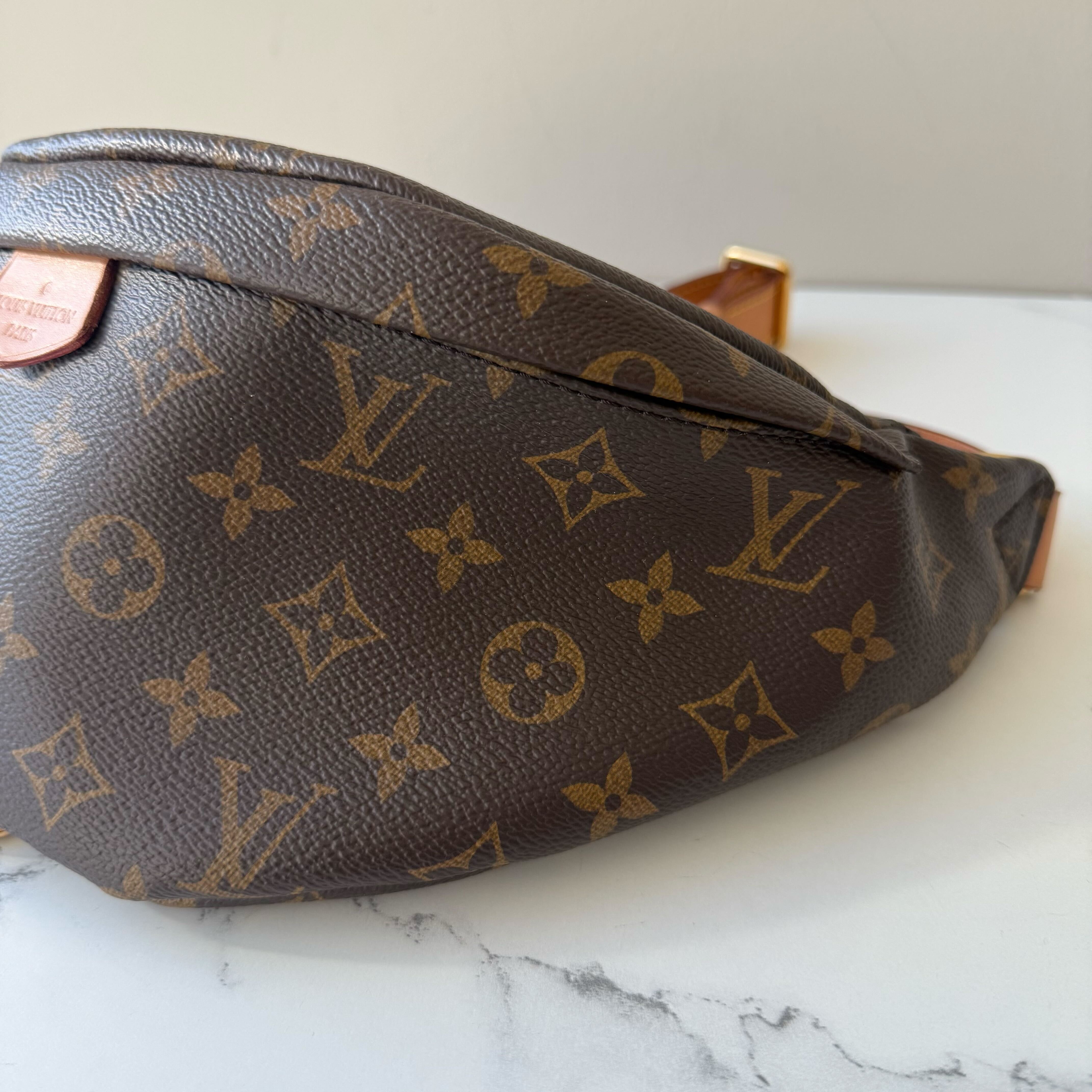 Louis Vuitton Bumbag