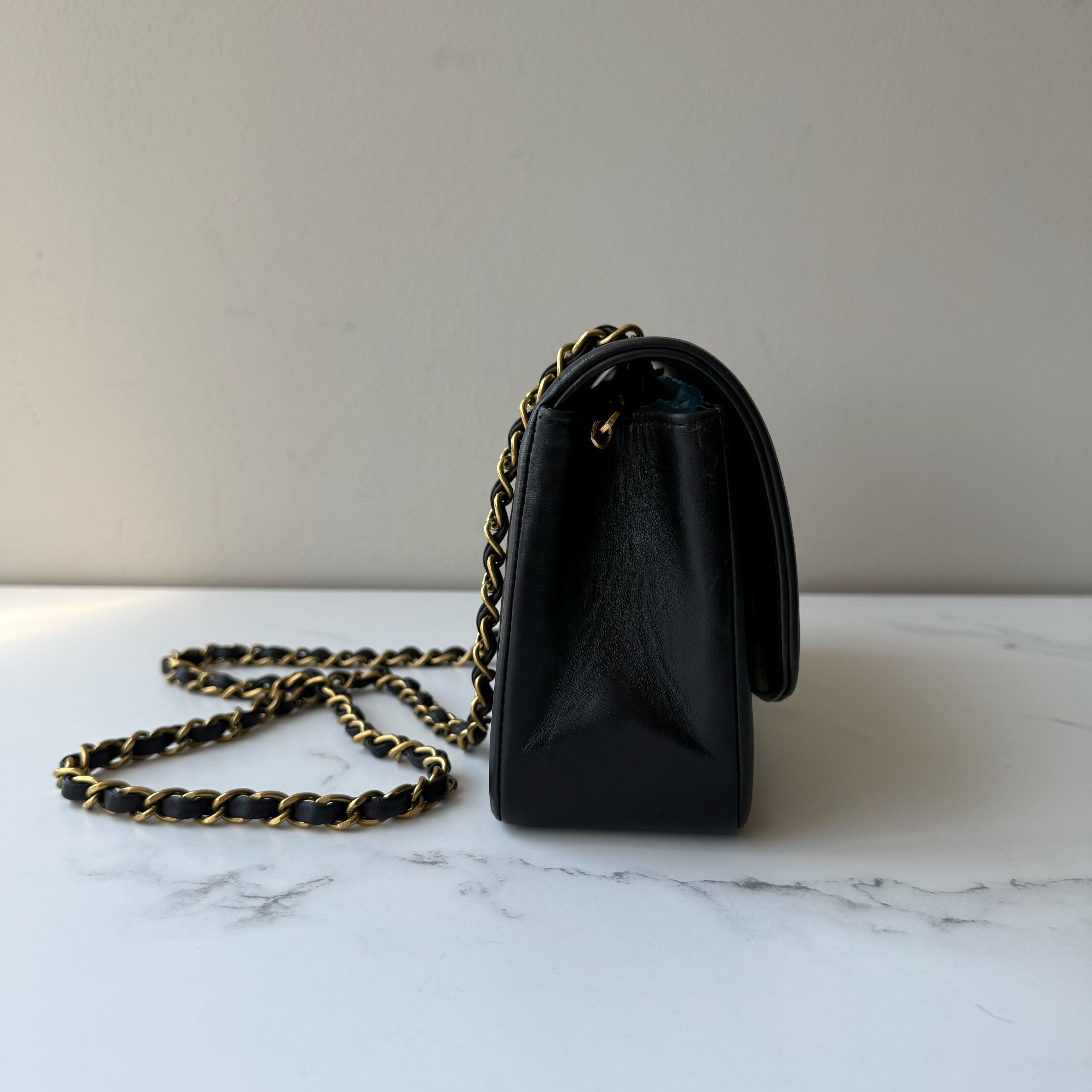 Chanel Diana