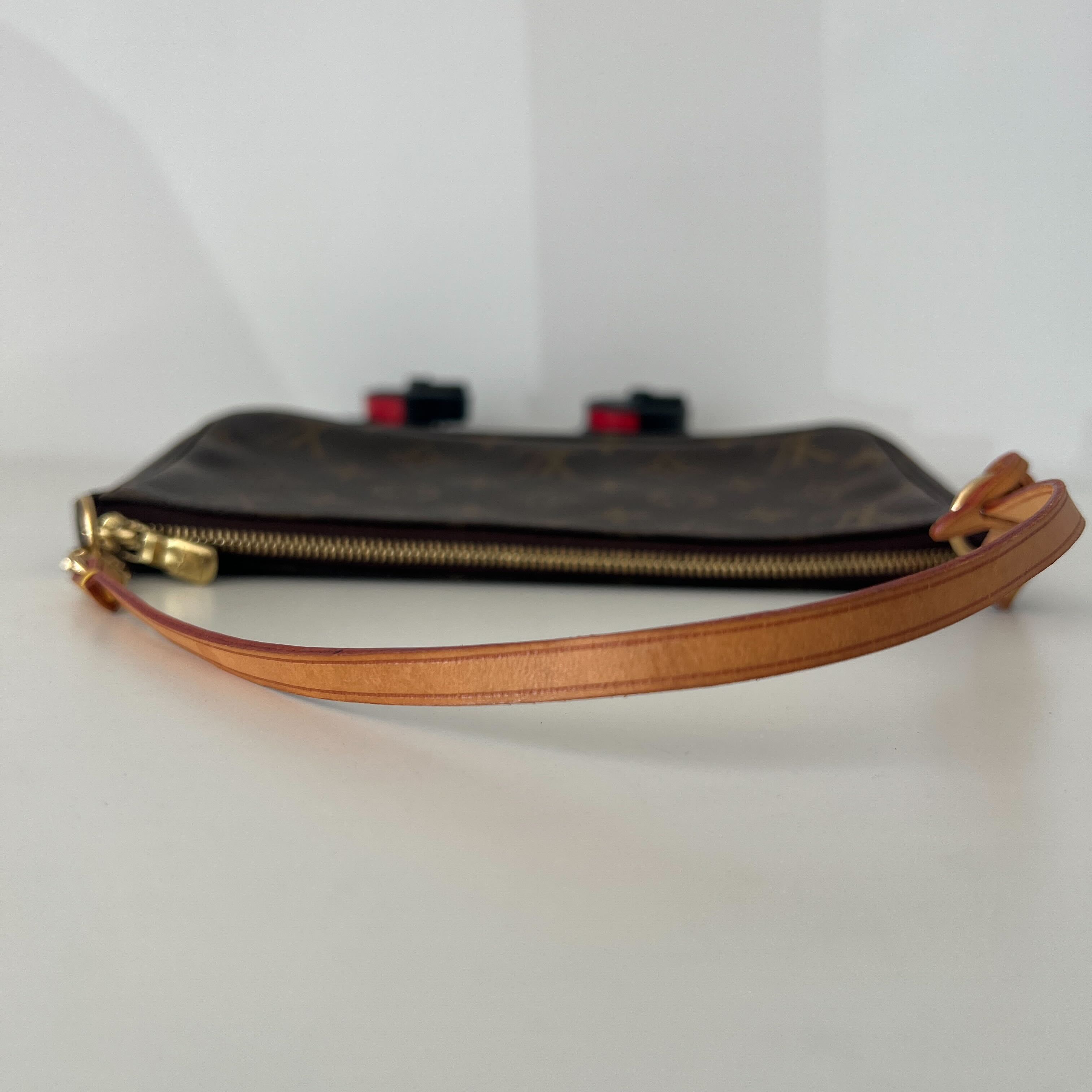 Louis Vuitton Pochette Accessories