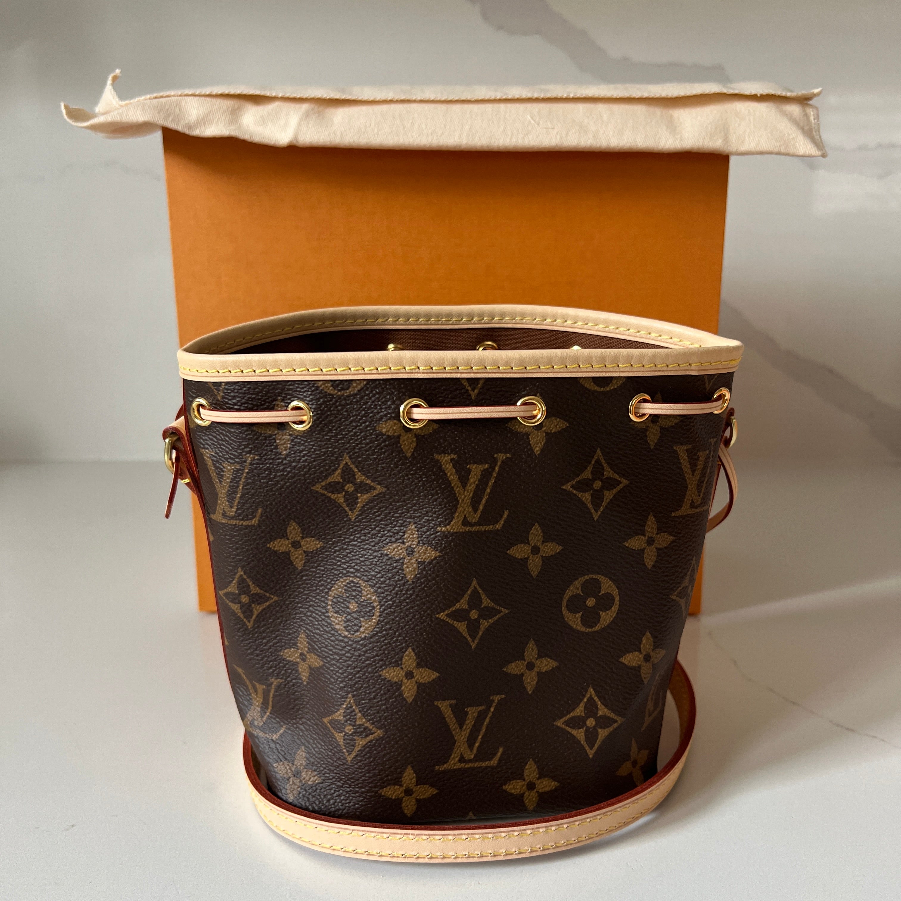 Louis Vuitton Nano Noe