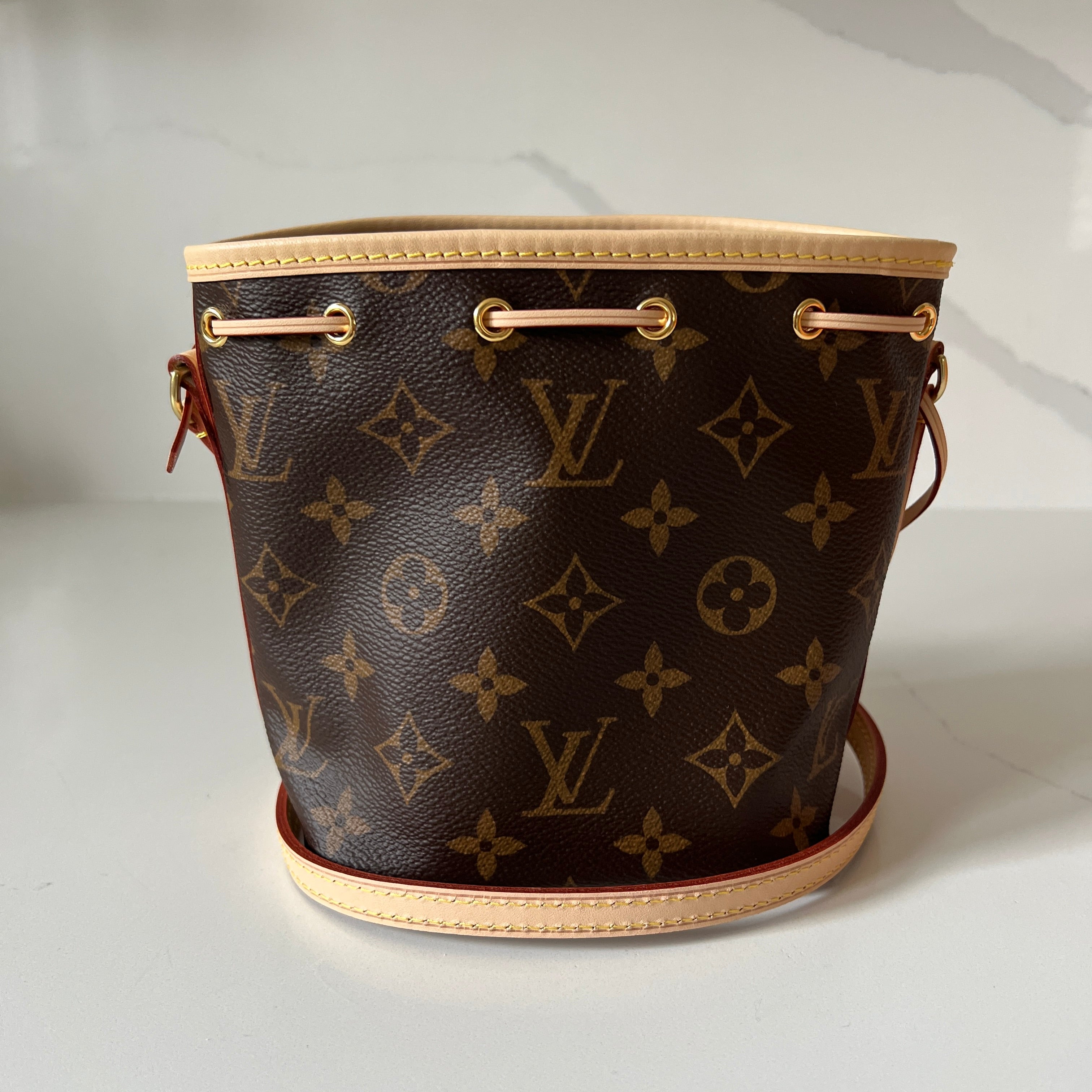 Louis Vuitton Nano Noe