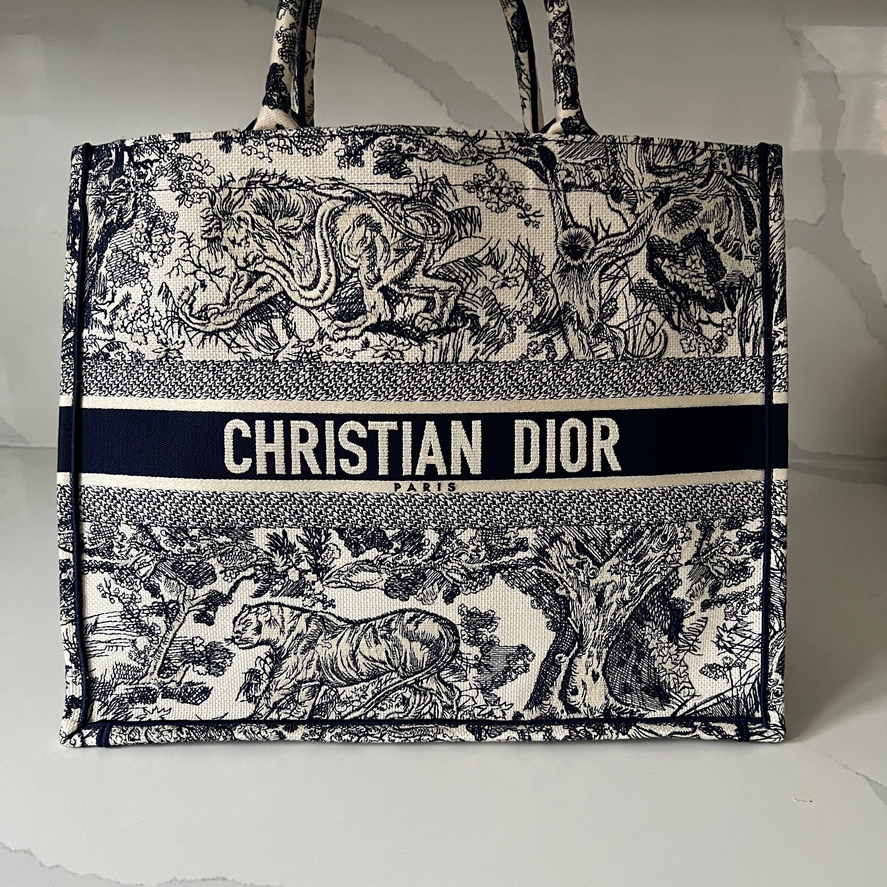 Christian Dior Book Tote