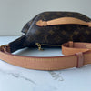 Louis Vuitton Bumbag