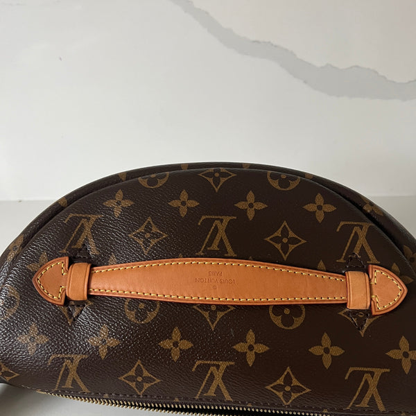 Louis Vuitton Bum Bag