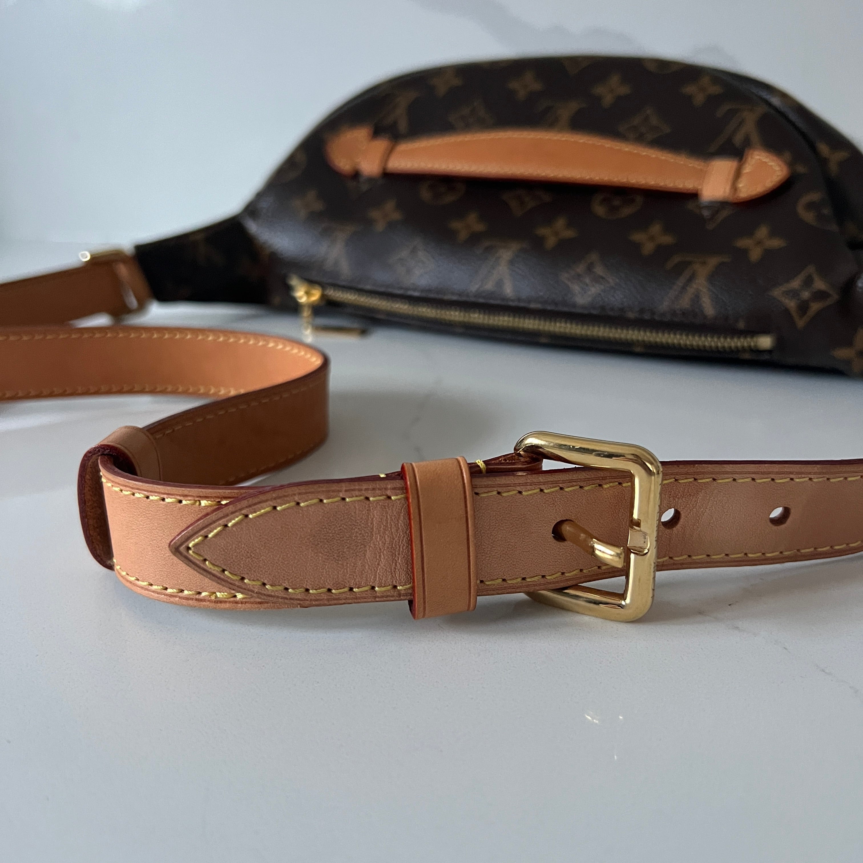 Louis Vuitton Bum Bag